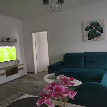 Apartmant Melinda M26 Брашов Экстерьер фото