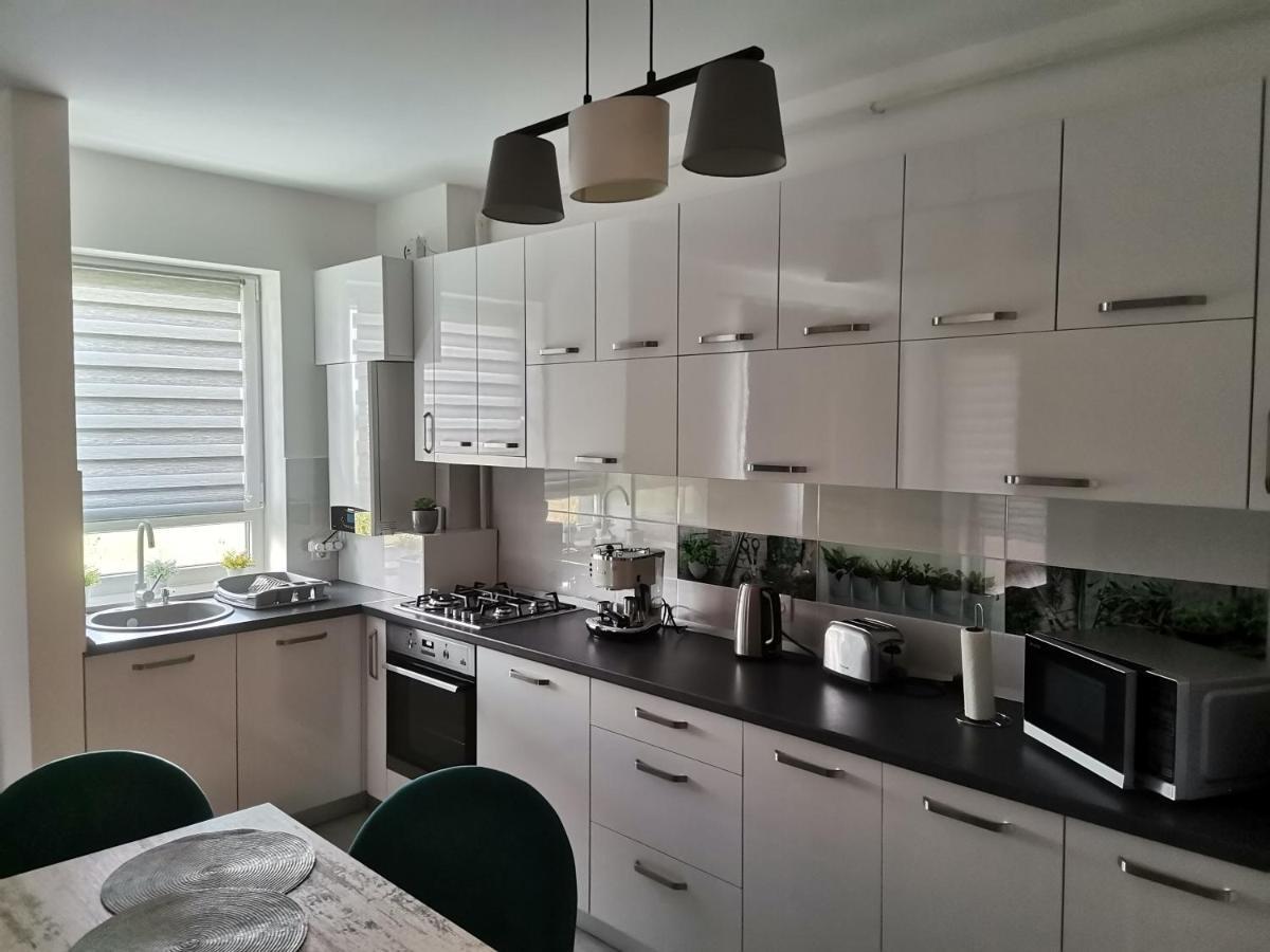 Apartmant Melinda M26 Брашов Экстерьер фото